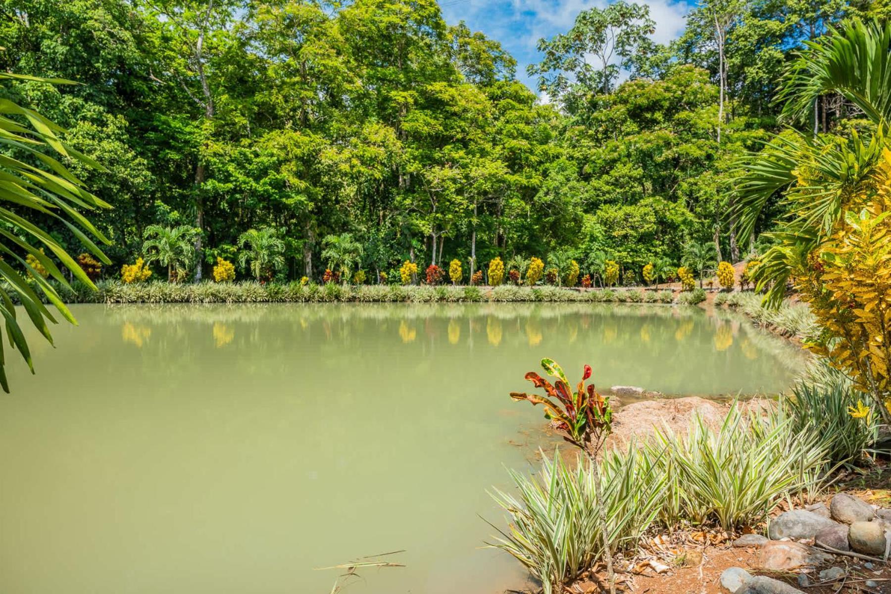 Nayari Sloth Farmstay Villa San Ramón المظهر الخارجي الصورة